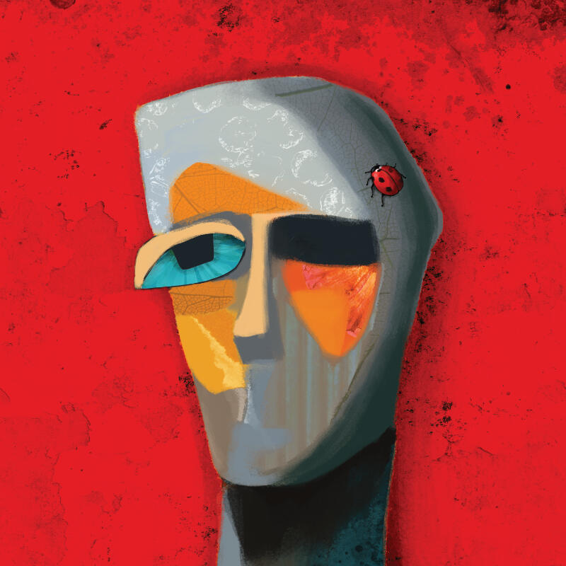 Morphology Series morphologyseries